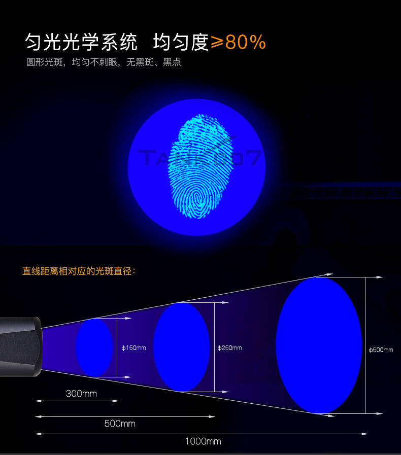 手電筒廠家